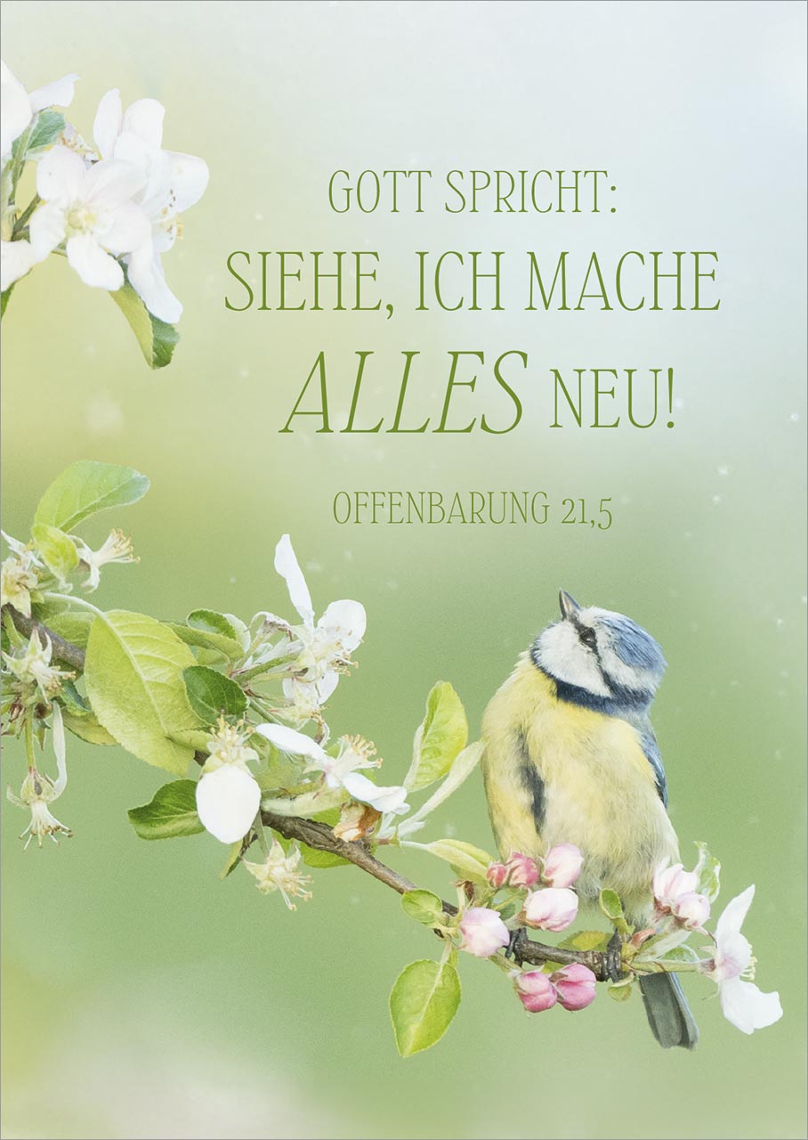 Postkarte Jahreslosung 2026 Vogel