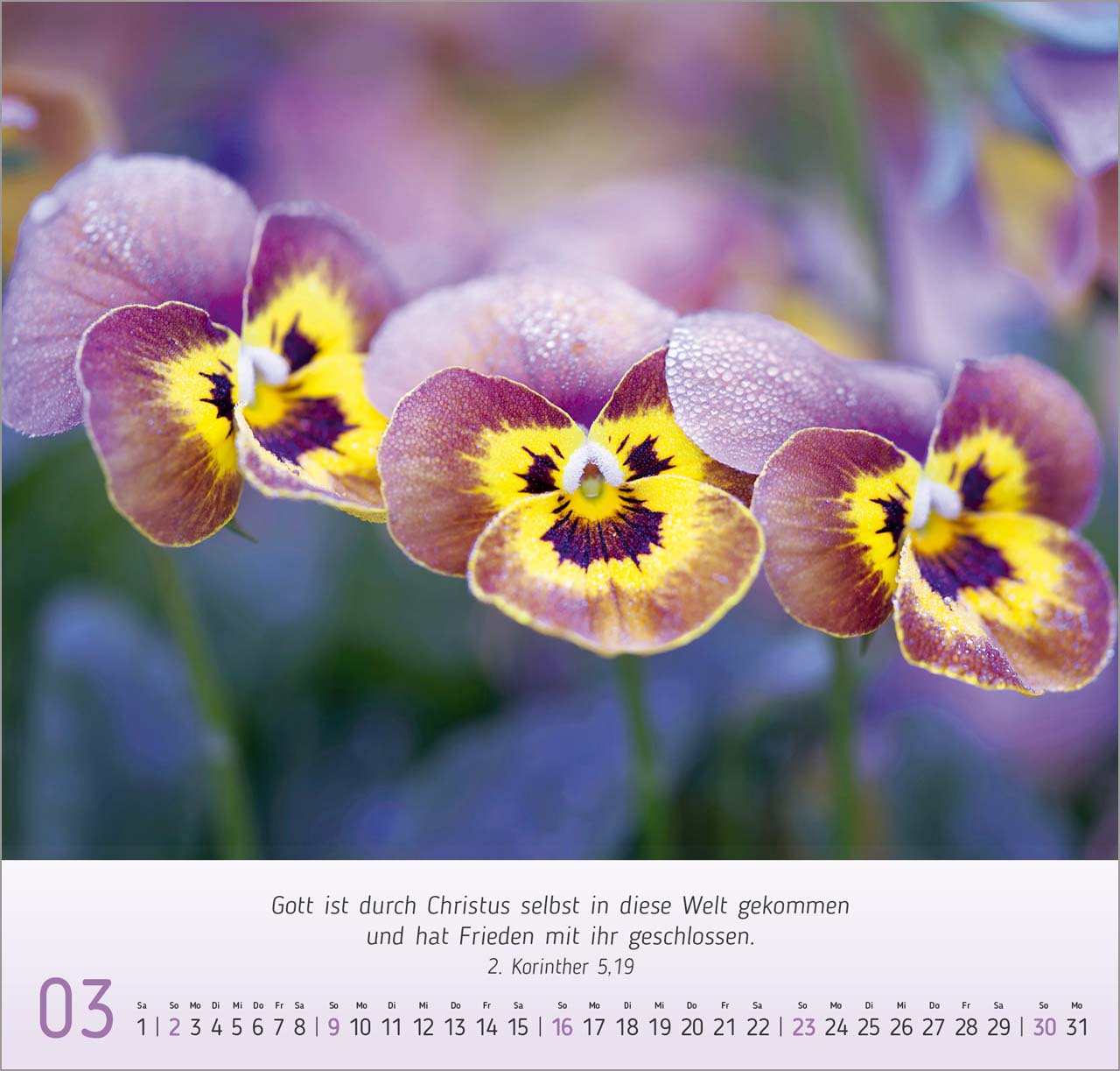 Blumen-Impressionen Wandkalender