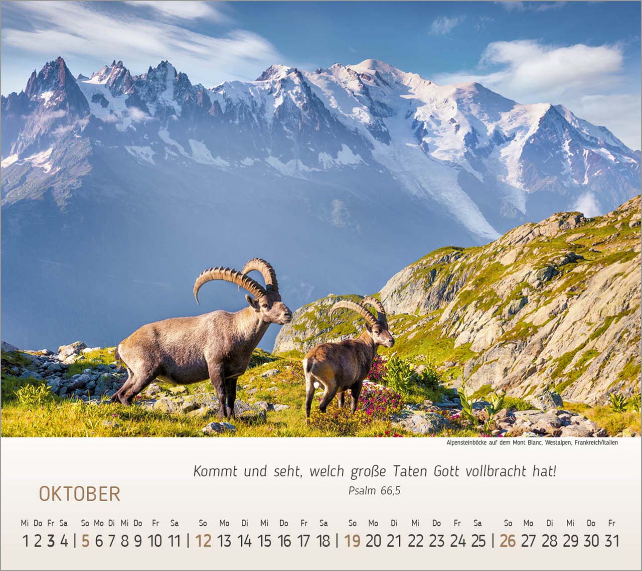 Wunderbare Bergwelt Tischkalender