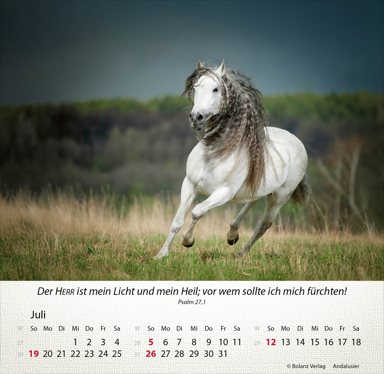 Pferde 2026 - Tischkalender