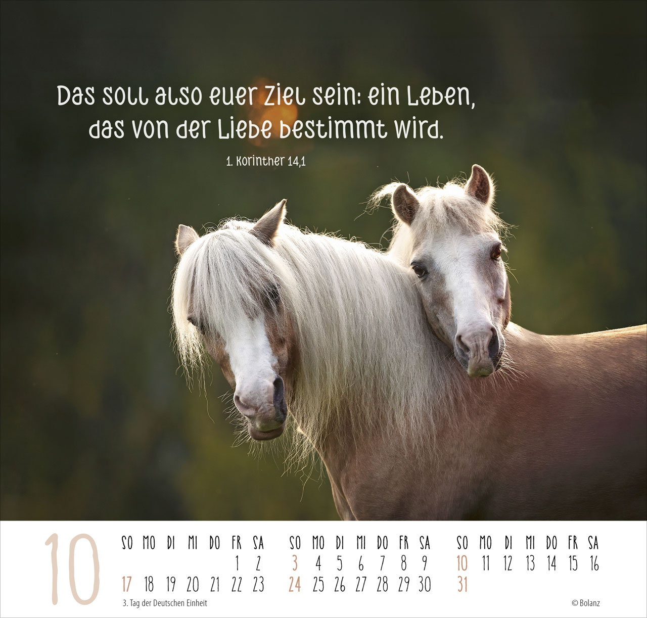 Beste Freunde – Ich mag dich 2027 – Posterkalender