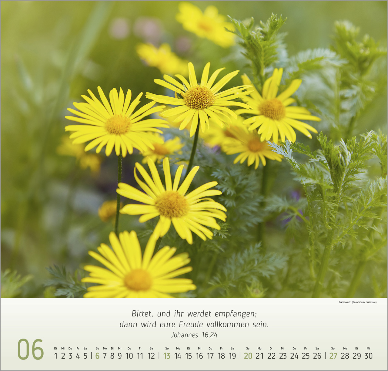 Blumen-Impressionen 2027 – Wandkalender