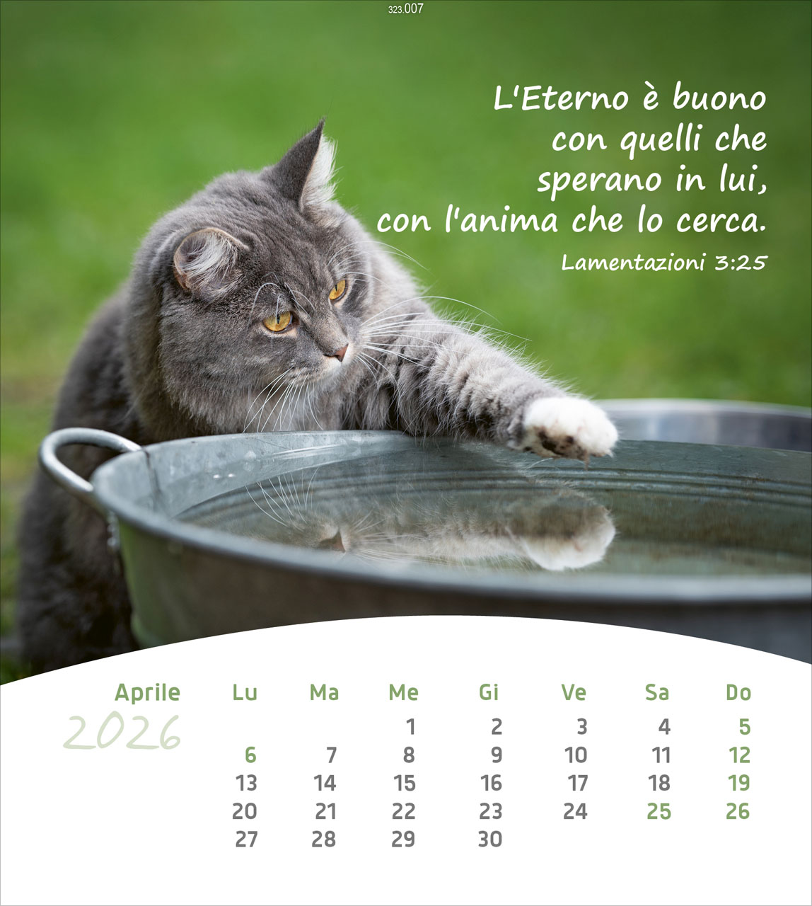 Leben für Dich 2026 - Italienisch