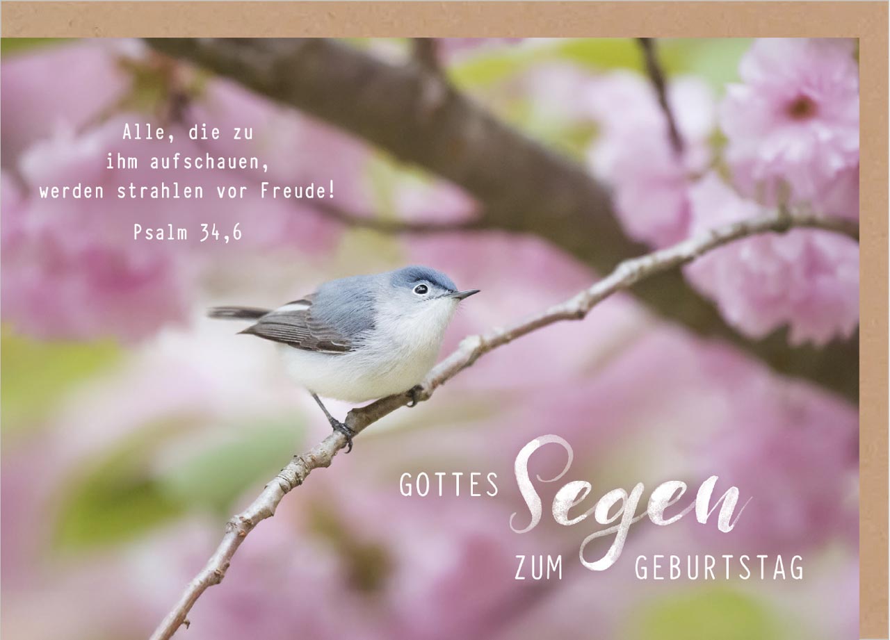Faltkarte Vögelchen
