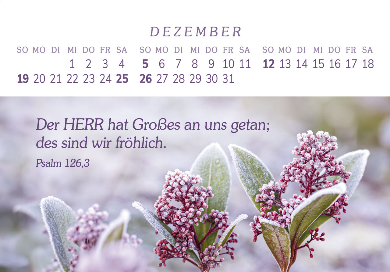 Das Geschenk der Freude 2027 – Panorama-Tischkalender