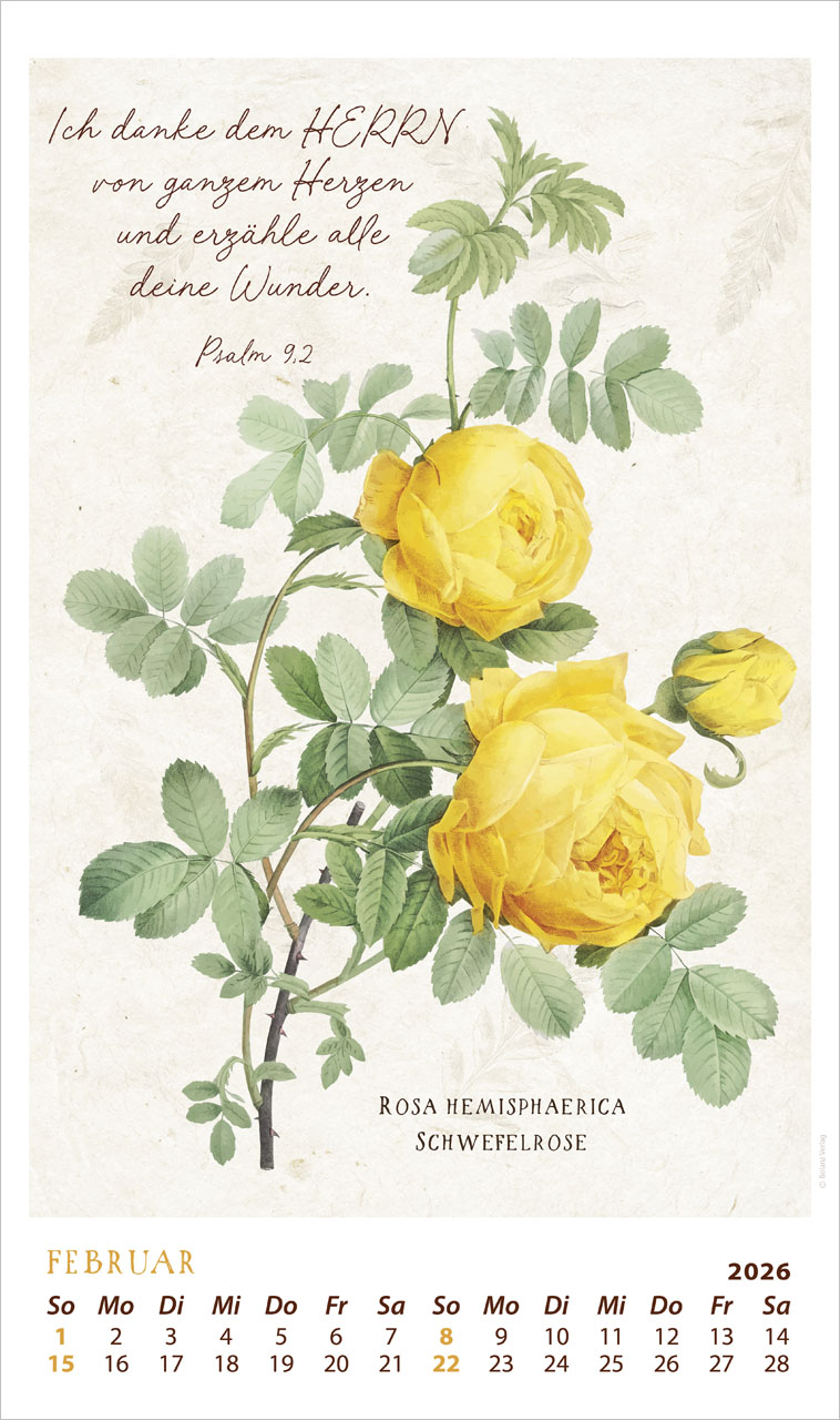 Schmuck Stücke des Schöpfers 2026 - Posterkalender