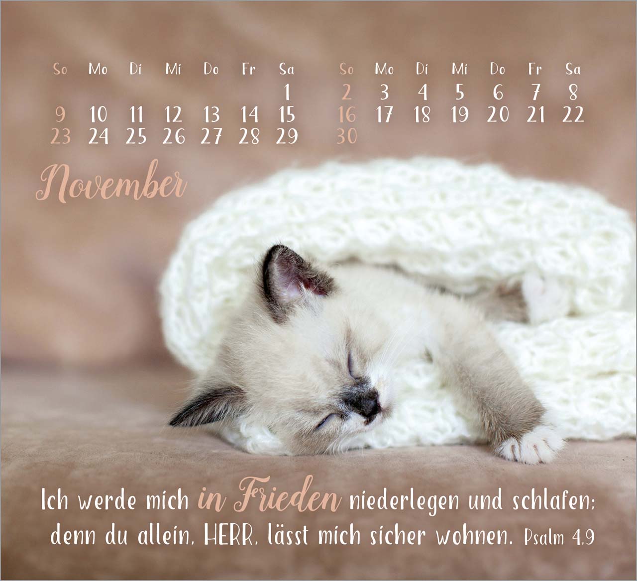 Sei gesegnet! - Tischkalender