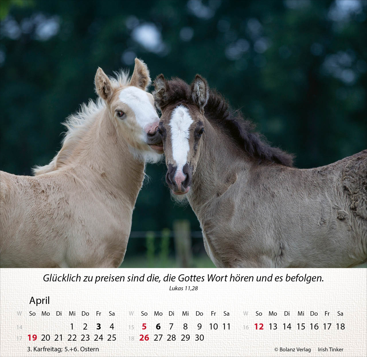 Pferde 2026 - Tischkalender