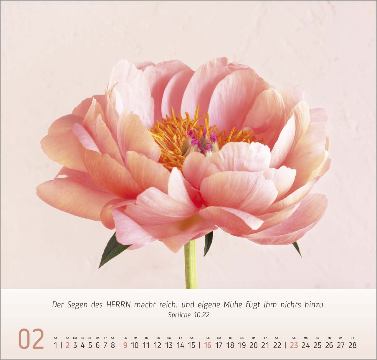 Blumen-Impressionen Wandkalender