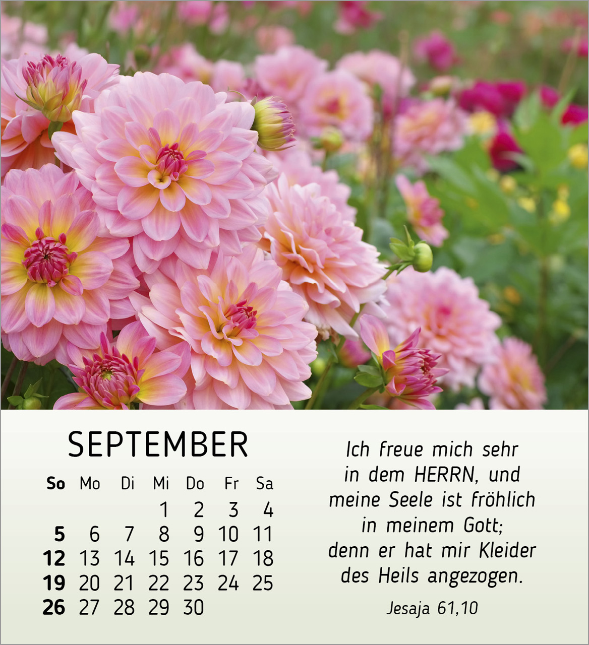 Ich wünsche dir Freude 2027 – Tischkalender