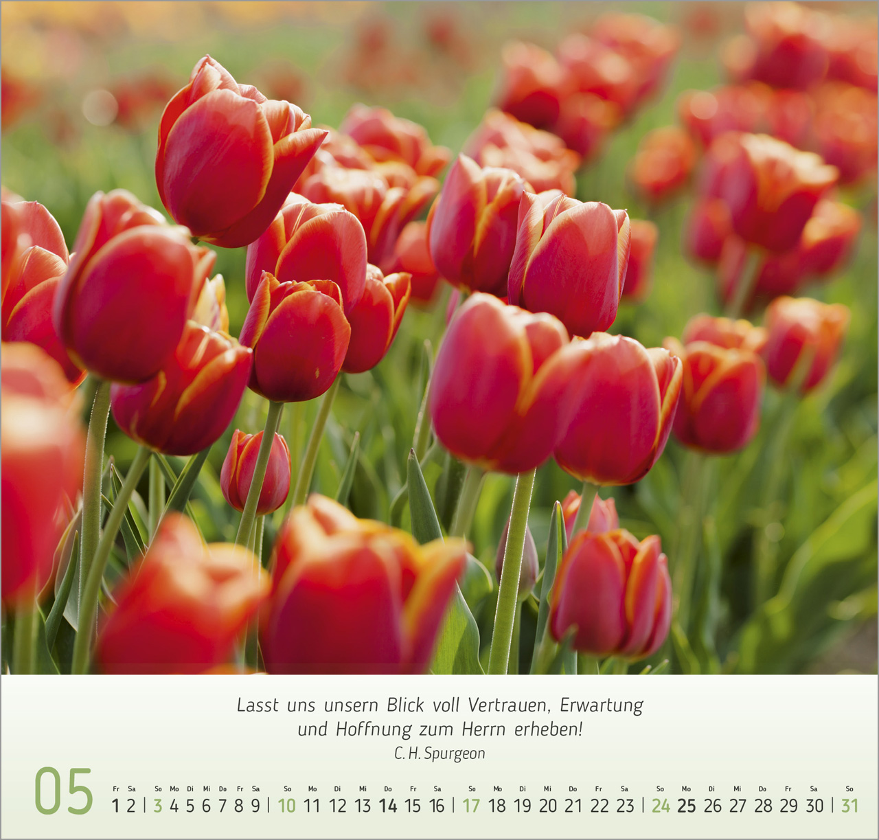 Blumen-Impressionen Wandkalender 2026