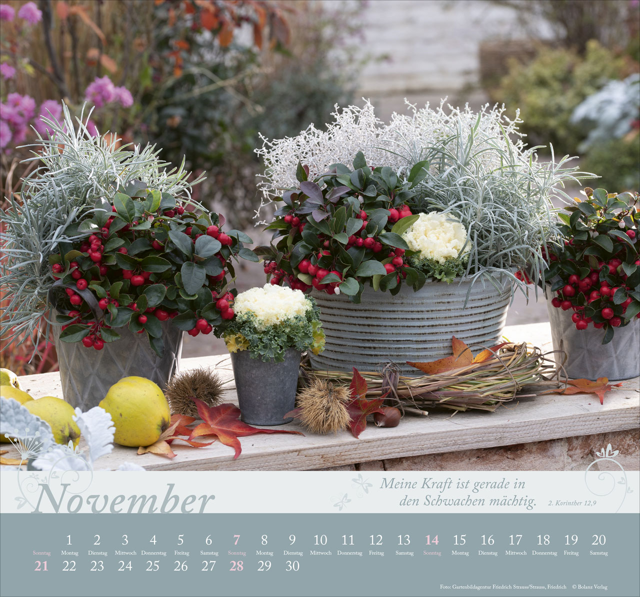 Im Garten zuhause 2027 – Wandkalender