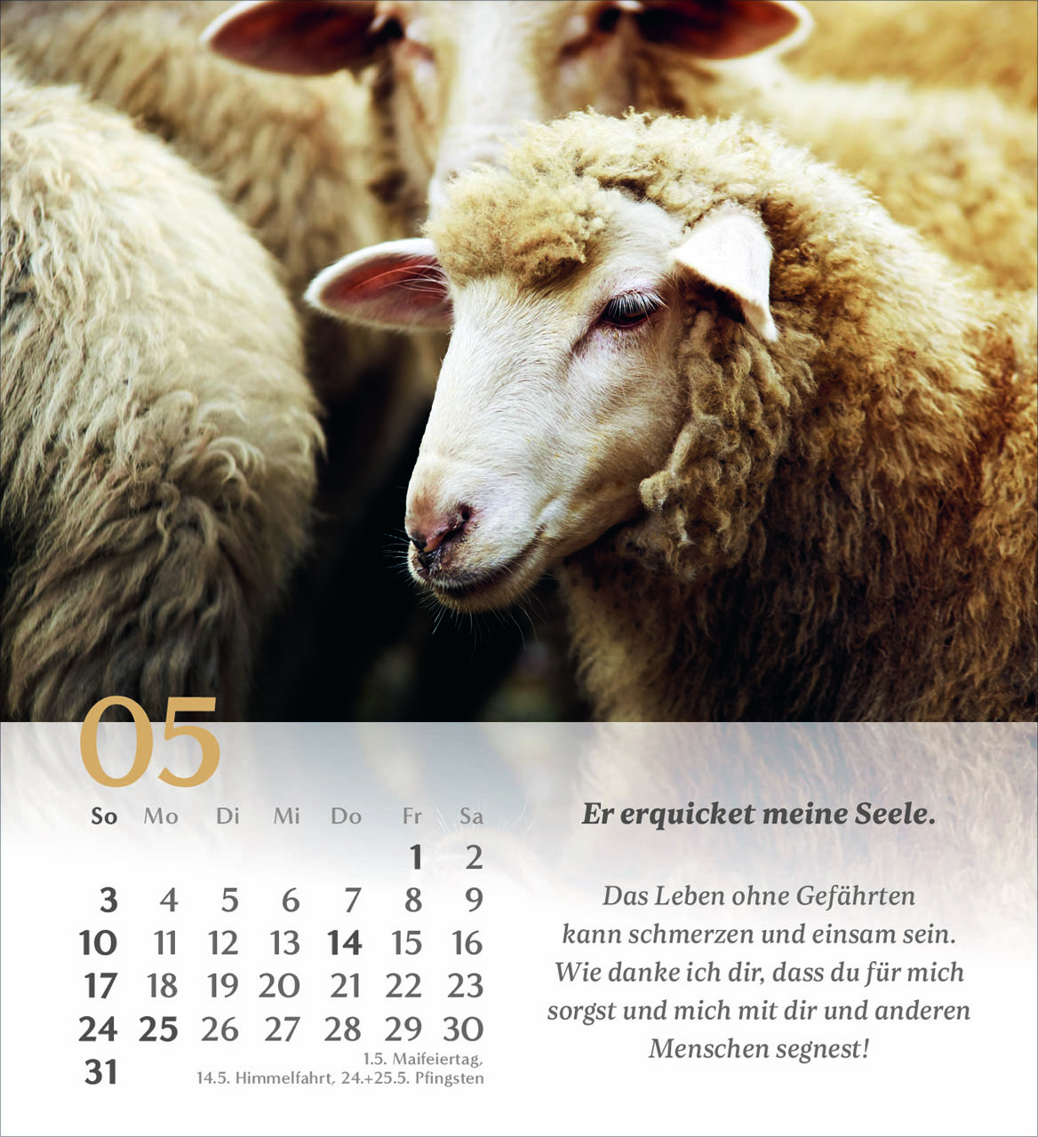 Psalm 23 Tischkalender 2026
