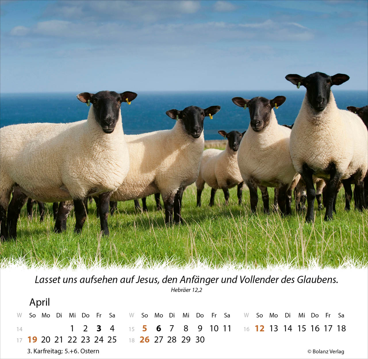 Ein Leben für die Schafe 2026 - Tischkalender