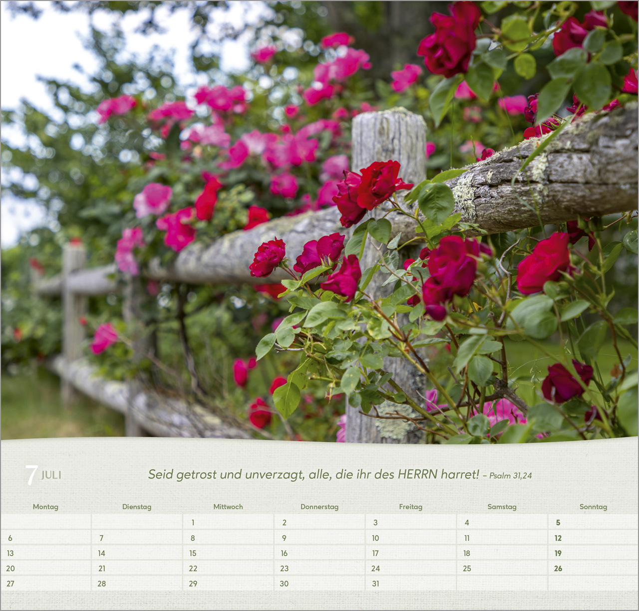 Rosen Wandkalender 2026