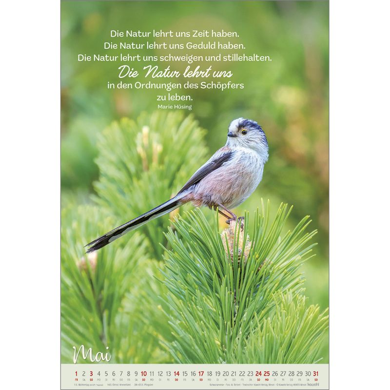 Beflügelt und getragen 2026