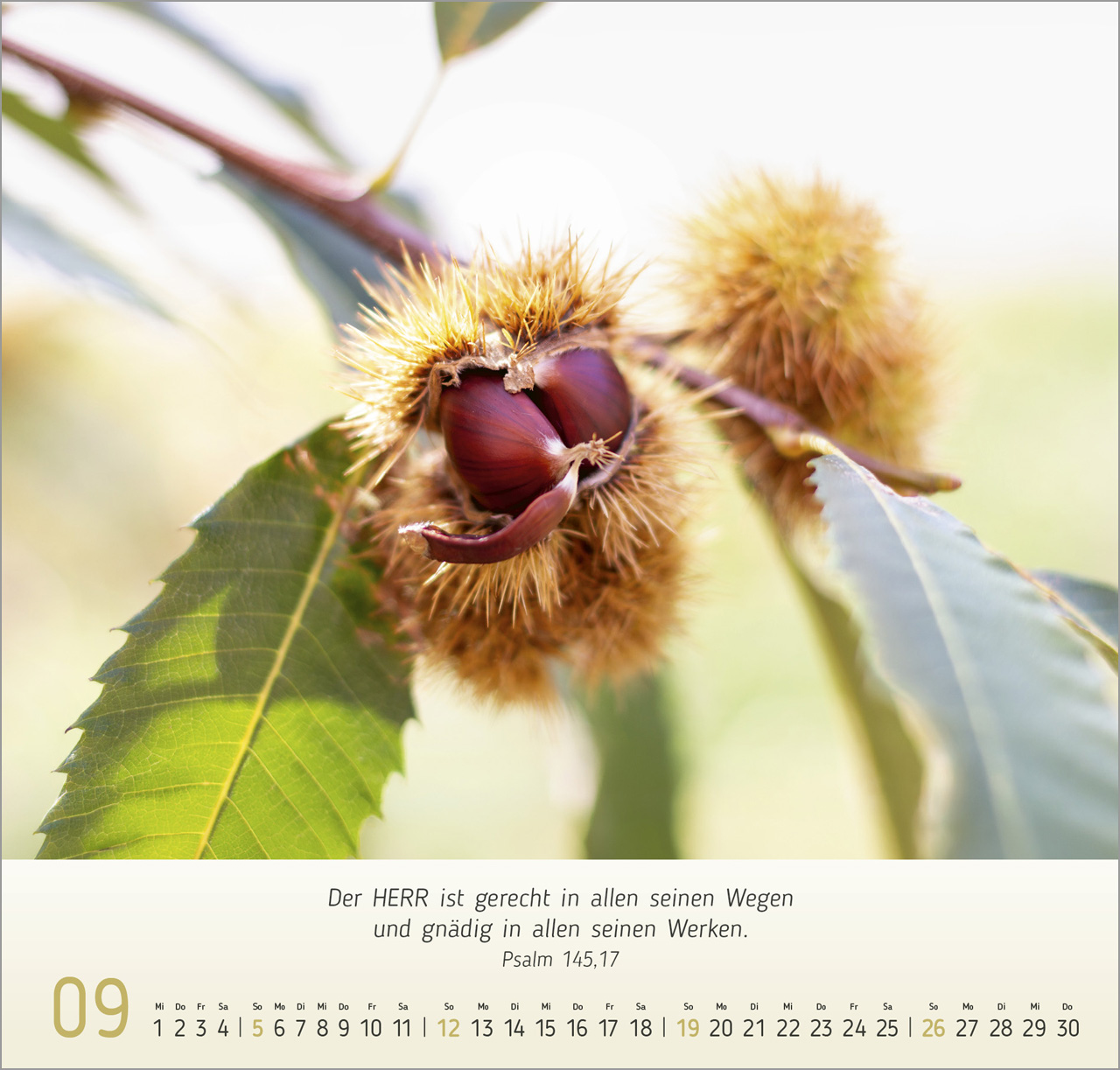 Gesichter der Natur 2027 – Wandkalender
