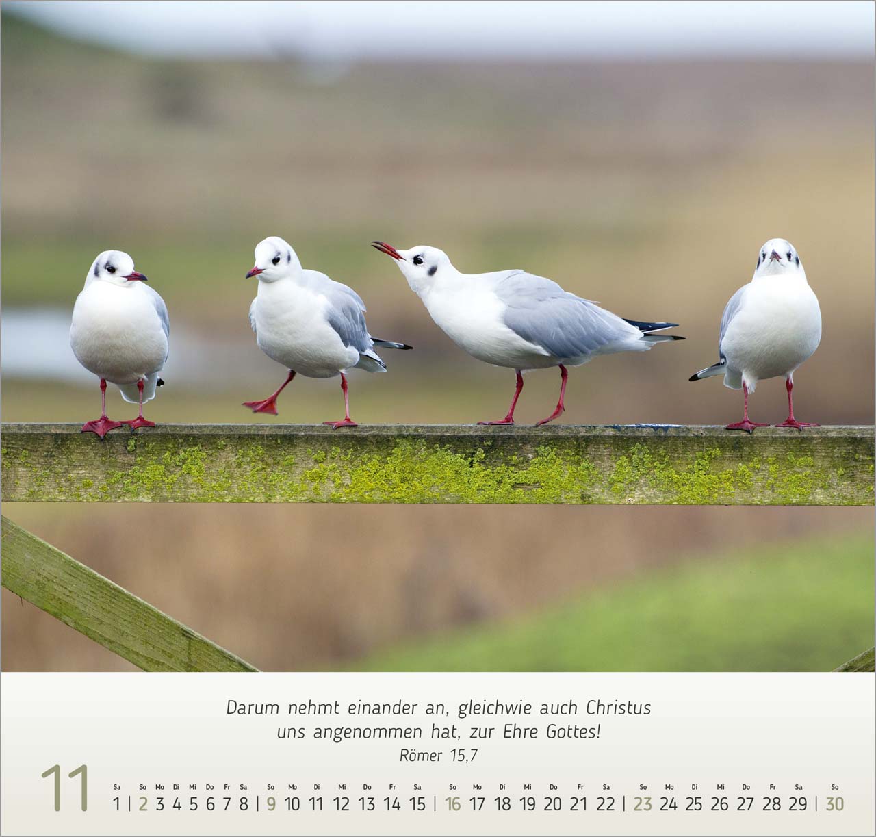 Gesichter der Natur Wandkalender