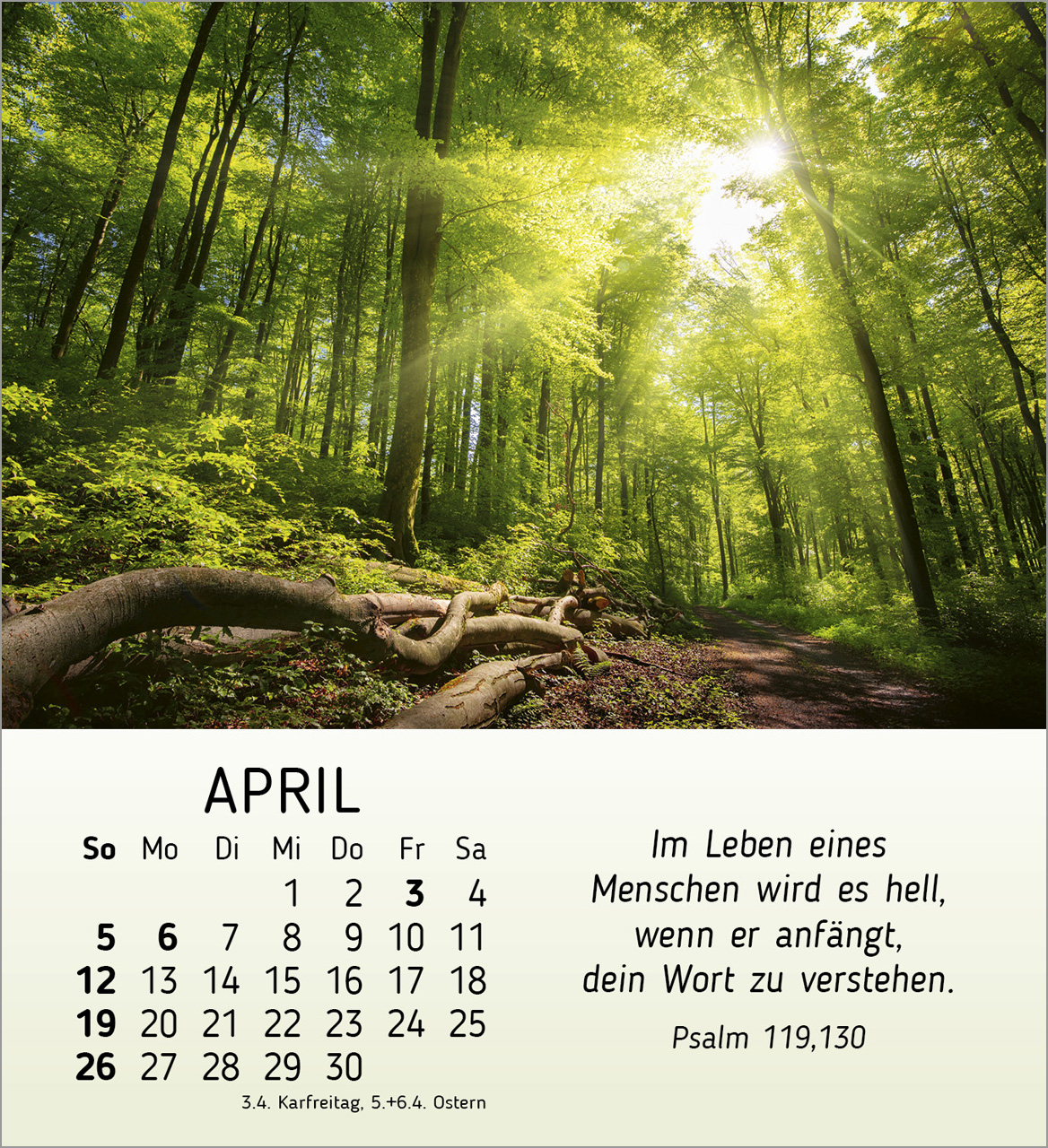 Schöheit des Lichts Tischkalender 2026 Schöheit des Lichts Tischkalender 2026