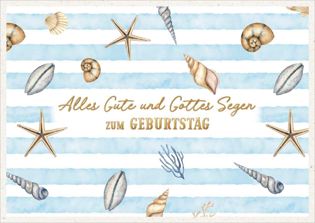 Postkarte Muscheln und Seesterne