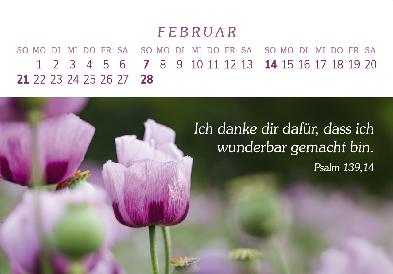 Das Geschenk der Freude 2027 – Panorama-Tischkalender
