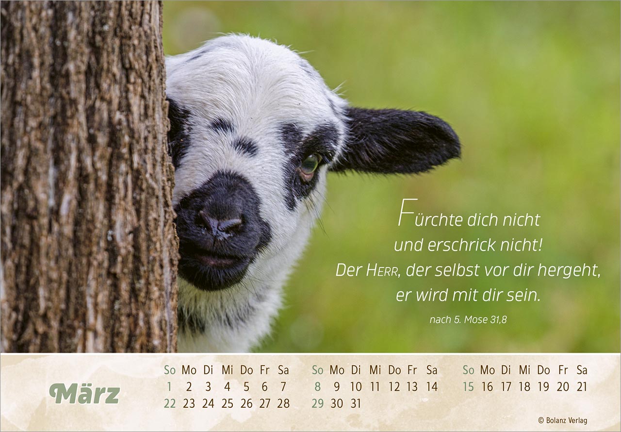 Der Gute Hirte 2026 - Panoramakalender