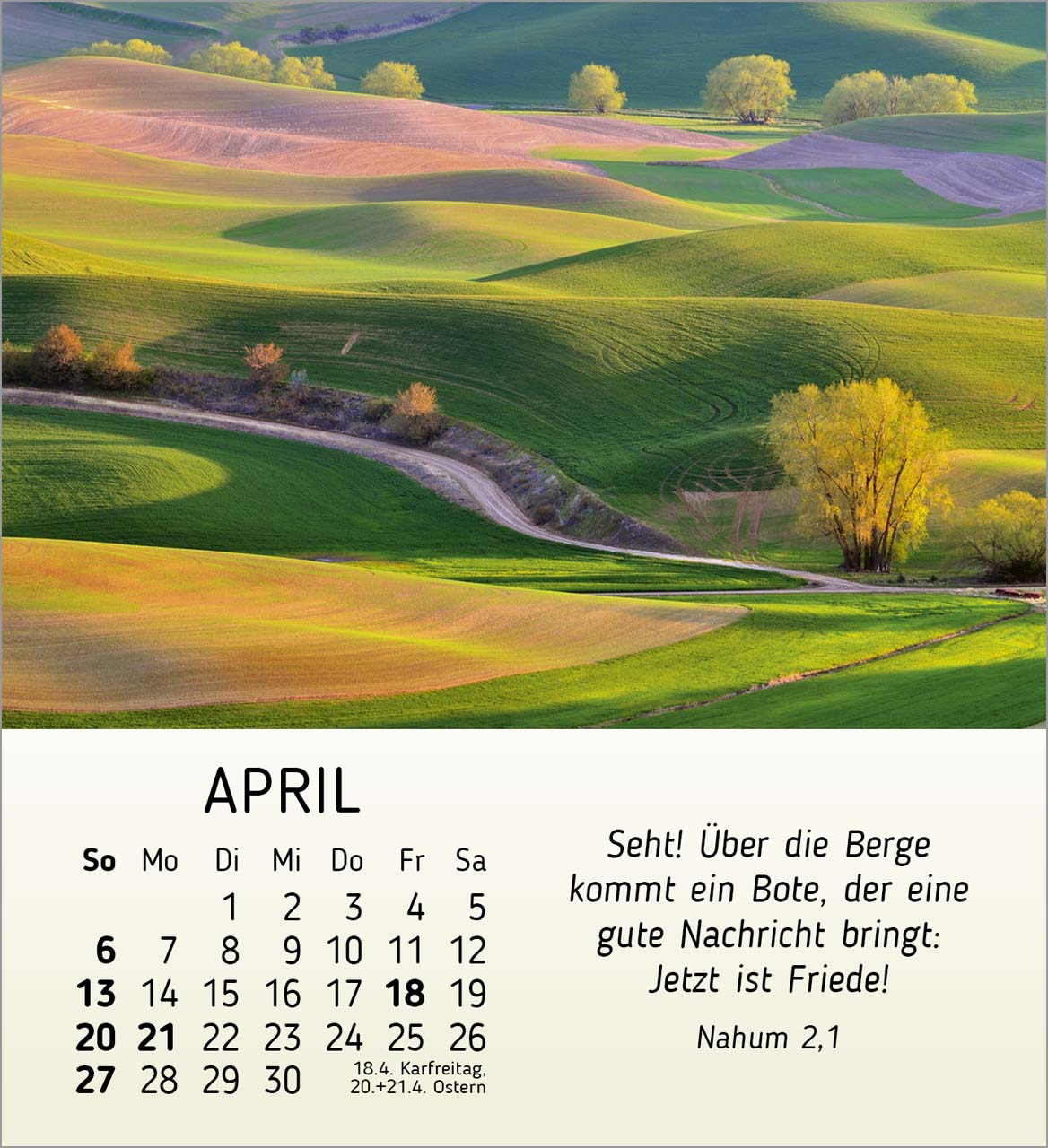 Schönheit des Lichts Tischkalender