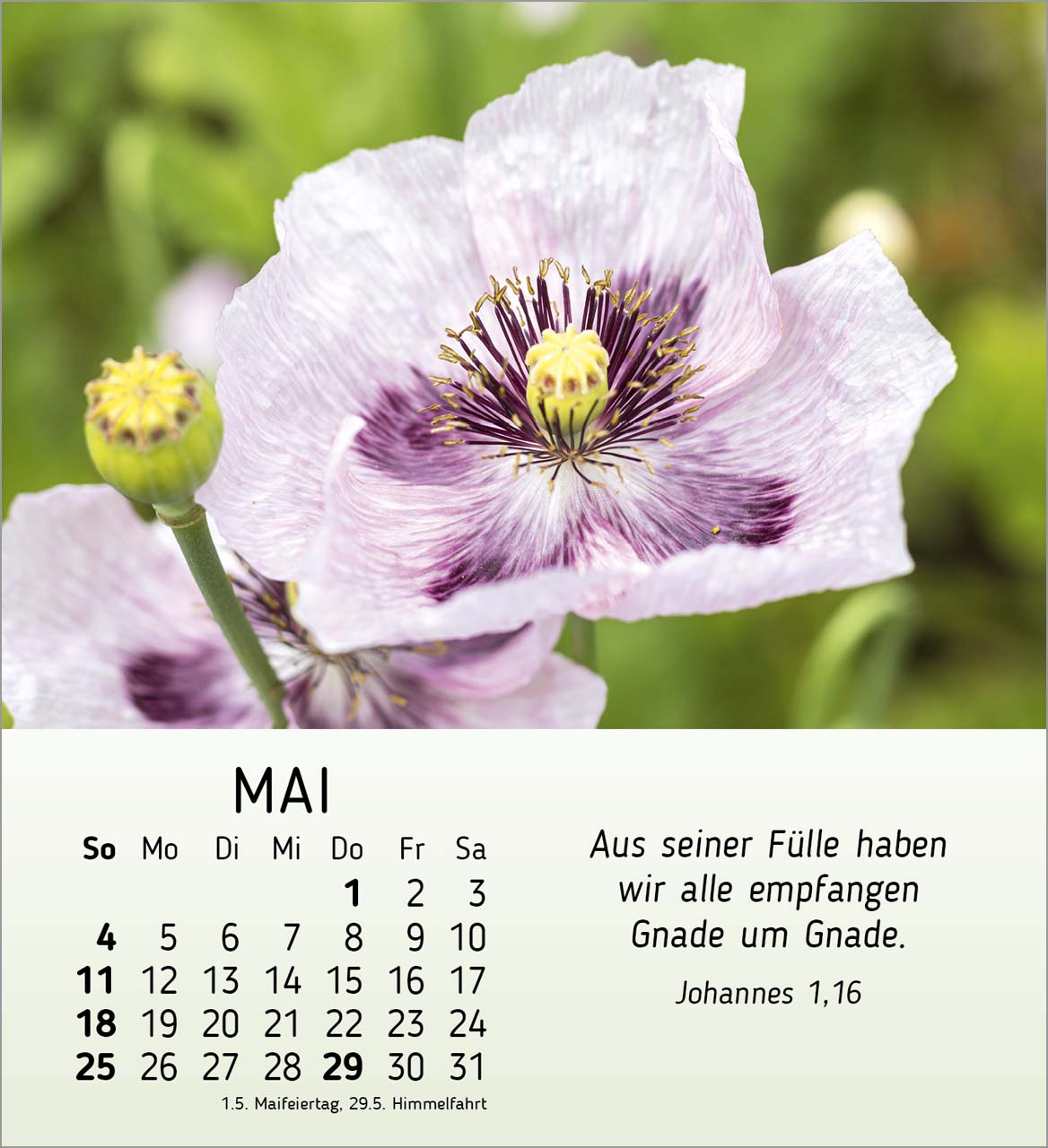 Ich wünsche dir Freude Tischkalender