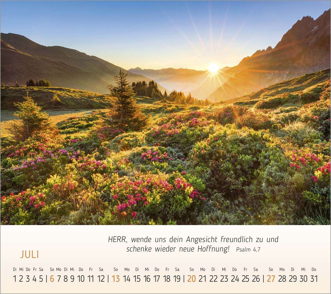 Foto-Träume - Tischkalender