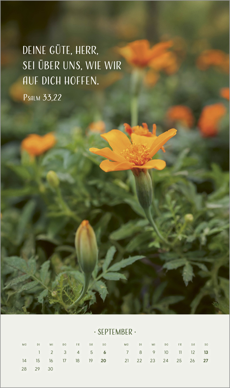 Zarte Blumengrüße Wandkalender 2026
