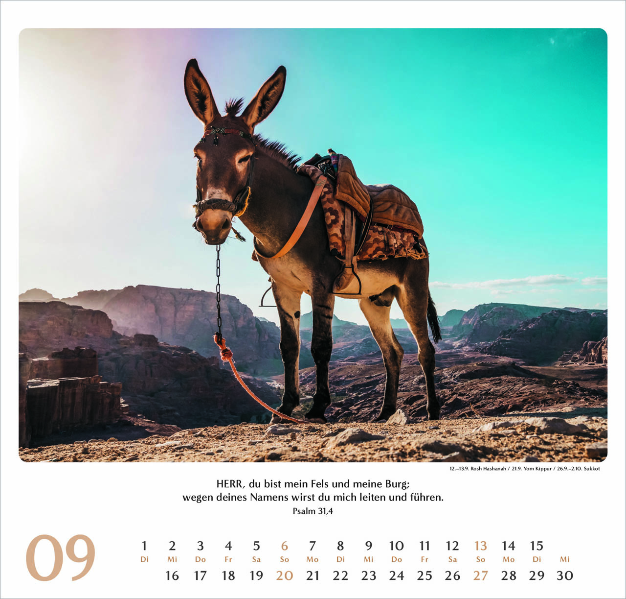 Geliebtes Israel Wandkalender 2026 Geliebtes Israel Wandkalender 2026