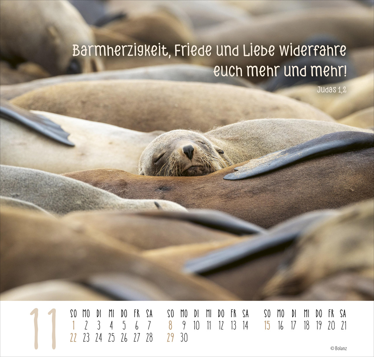 Beste Freunde - Ich mag dich 2026 - Posterkalender