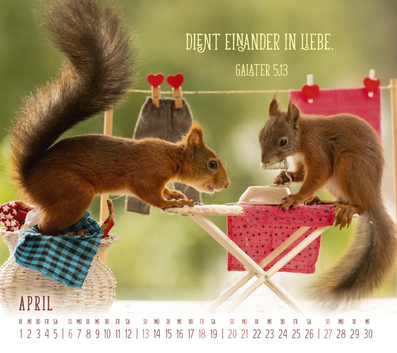 Du sorgst für mich - Eichhörnchen Kalender