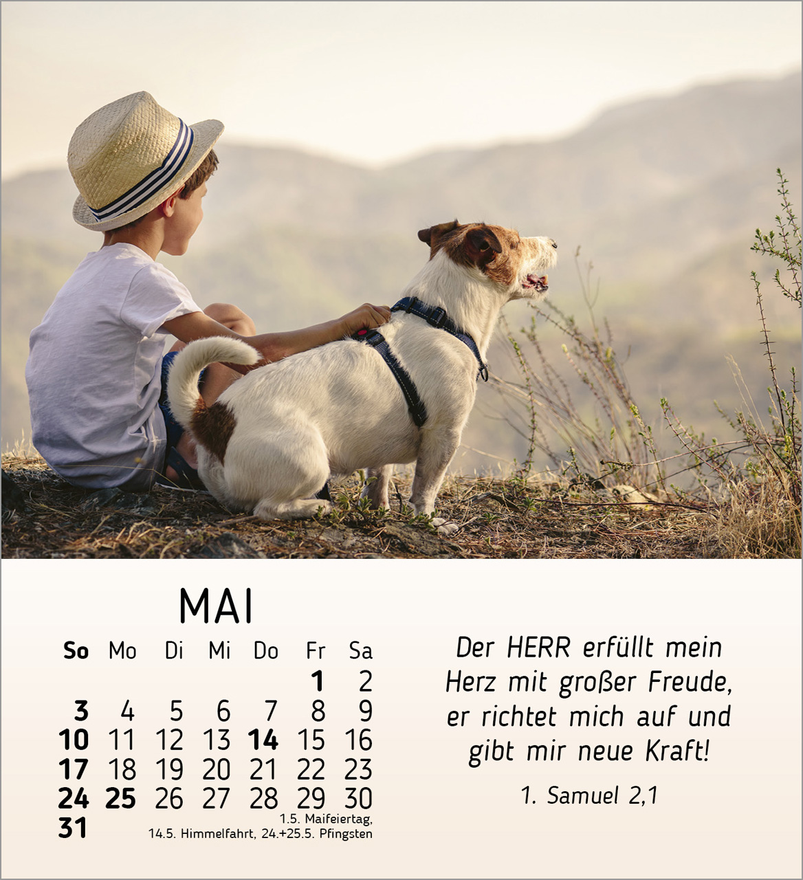 Meine kleinen Freunde 2026 - Tischkalender Meine kleinen Freunde 2026 - Tischkalender