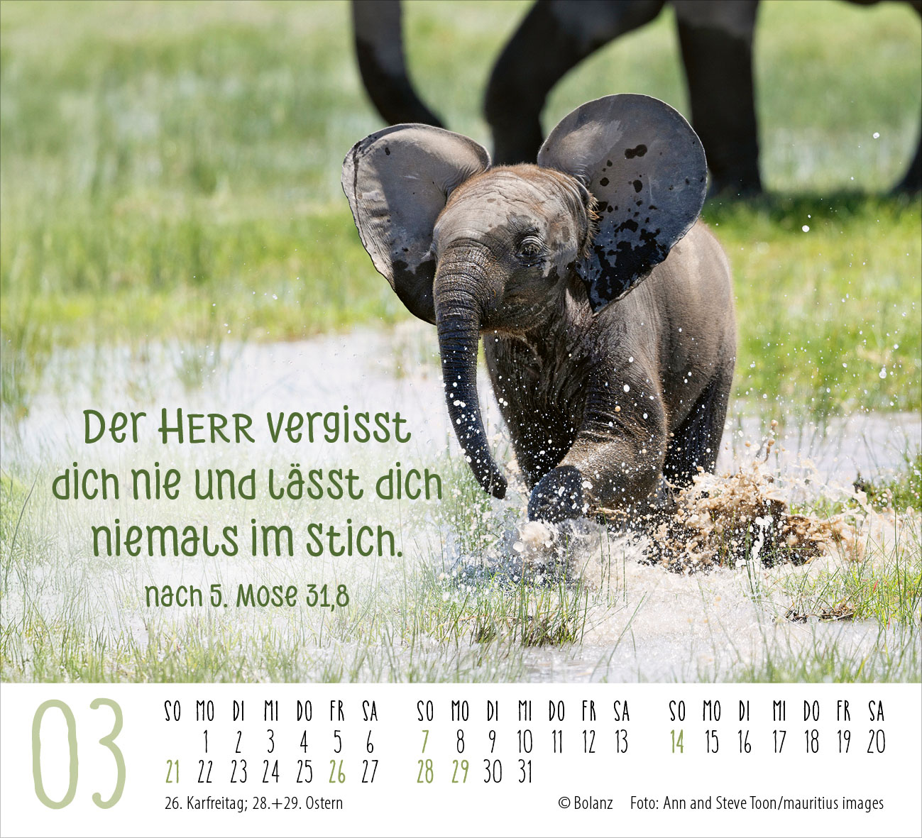 Begegnungen – dich vergess ich nie 2027 – Minikalender