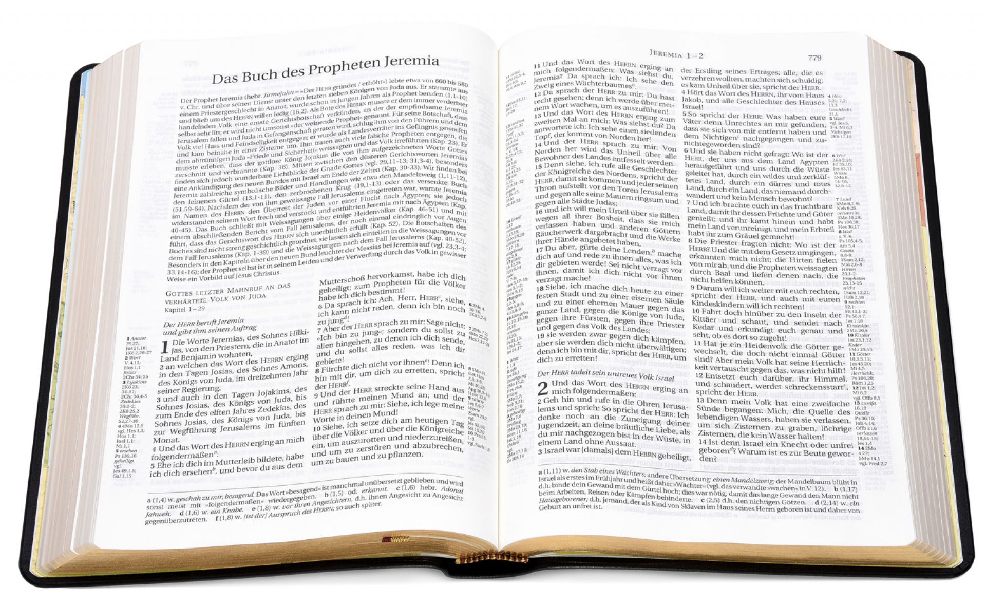 Schlachter 2000 - Standardausgabe, Kalbsleder mit Goldschnitt