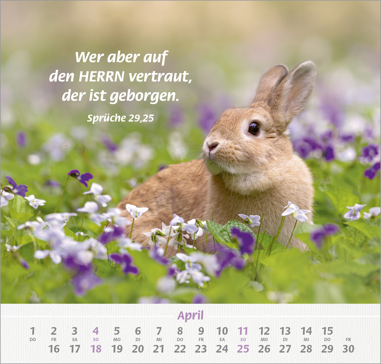 Ich hab dich gern 2027 – Wandkalender