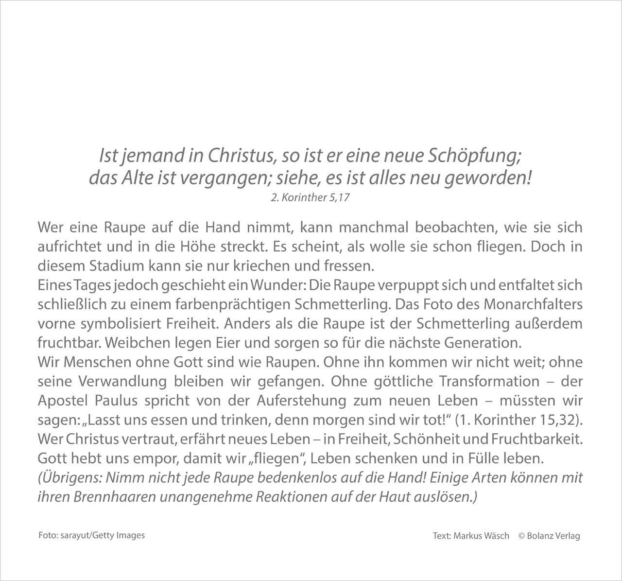 Meine Zeit 2027 – Wandkalender