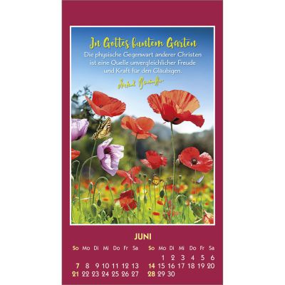 Gott ist bei dir 2026