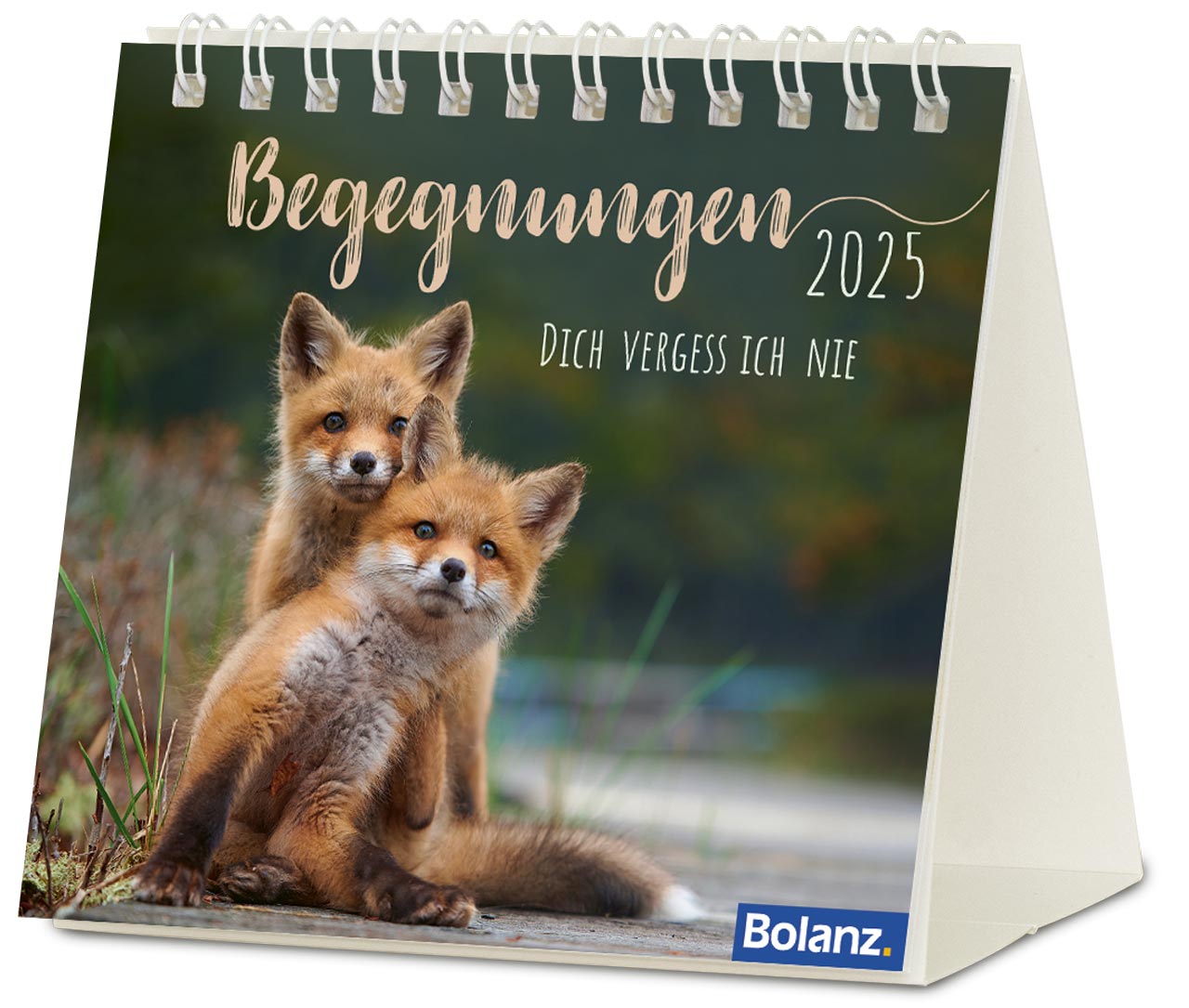 Begegnungen - Dich vergess ich nie 2025 - Minikalender