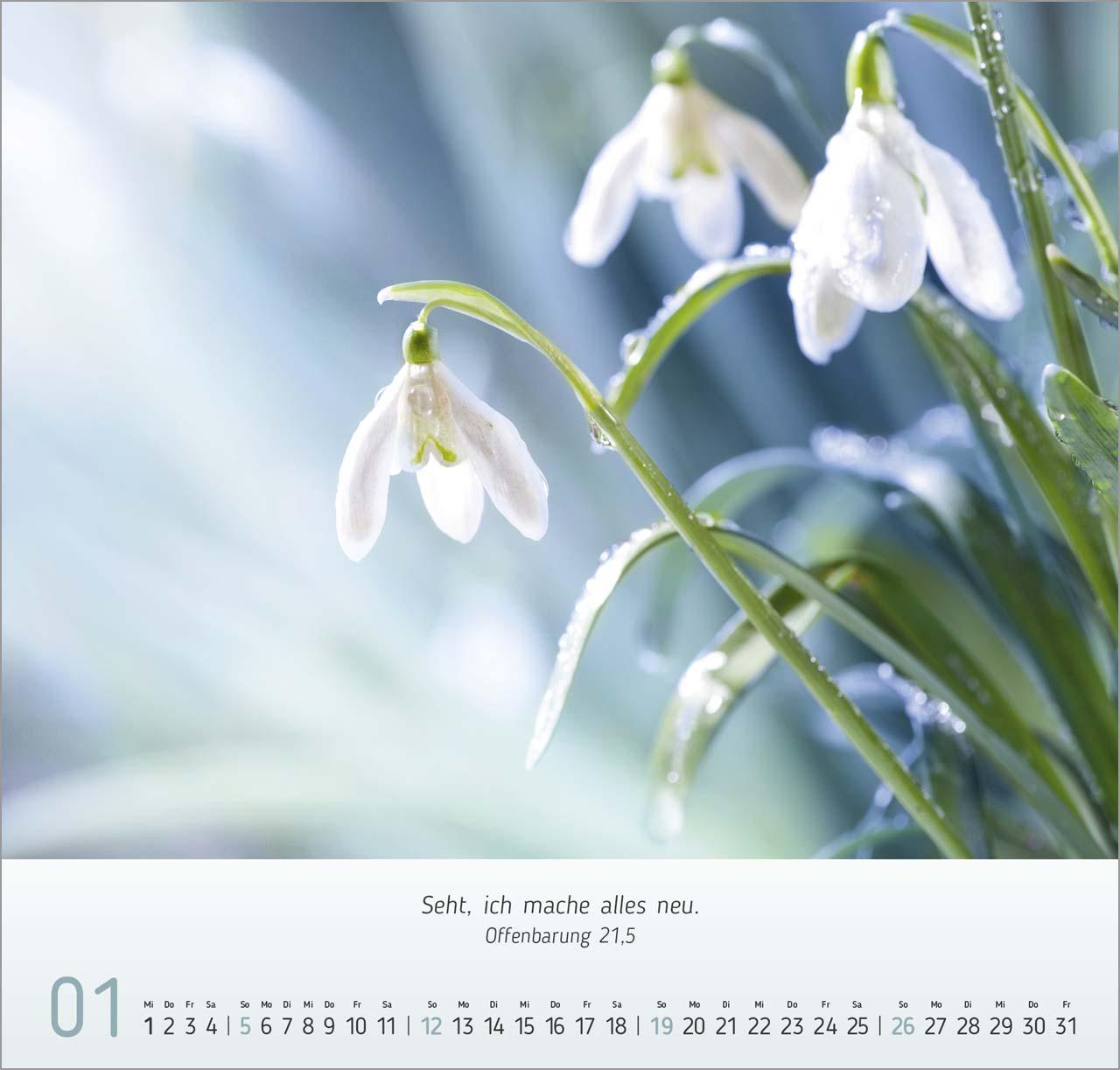 Blumen-Impressionen Wandkalender