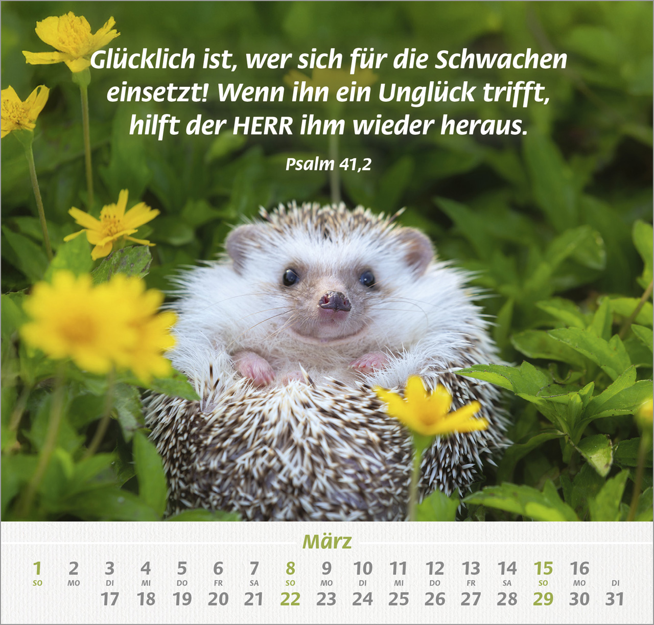 Ich hab dich gern Wandkalender 2026