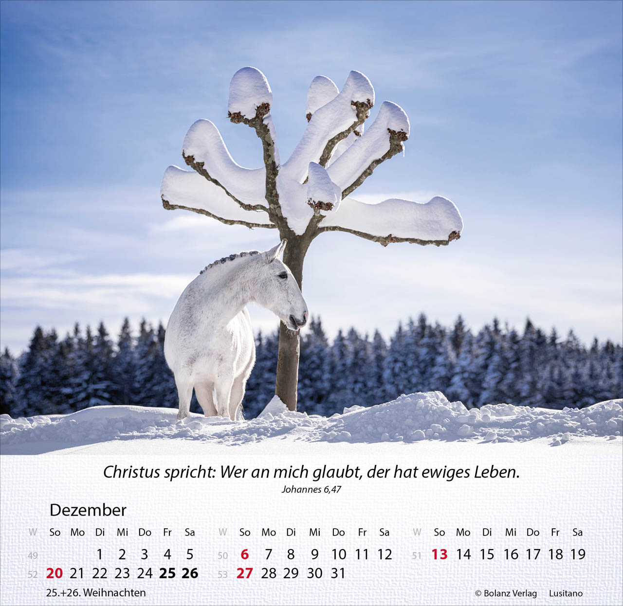 Pferde 2026 - Tischkalender