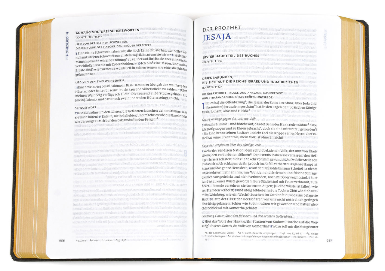 Menge 2020 (Bibel) – Standardausgabe (Softcover, grau, Senfschnitt)