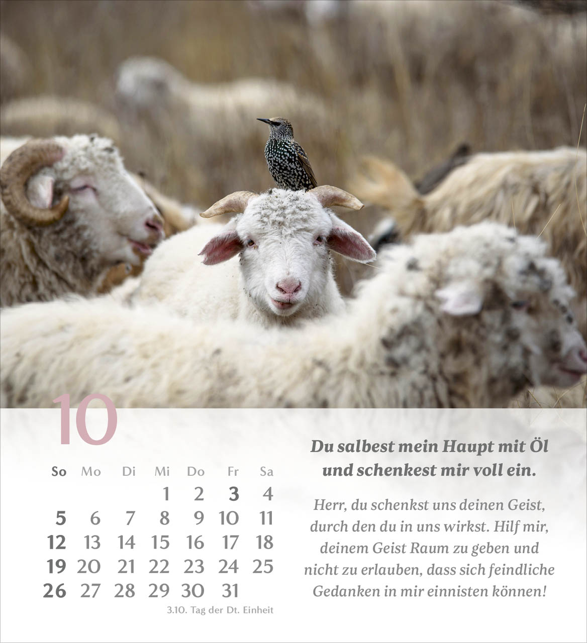 Psalm 23 Tischkalender