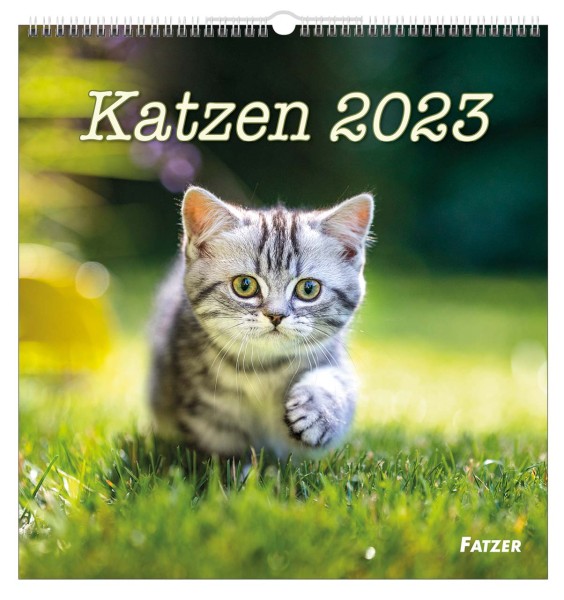 Katzen 2023 - Wandkalender