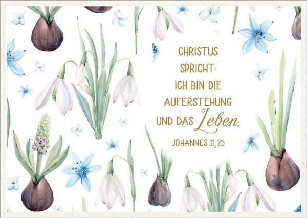Postkarte Auferstehung und Leben - Johannes 11,25