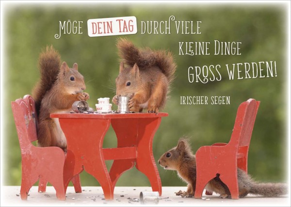 Postkarte Gottes guten Segen - Eichhörnchen