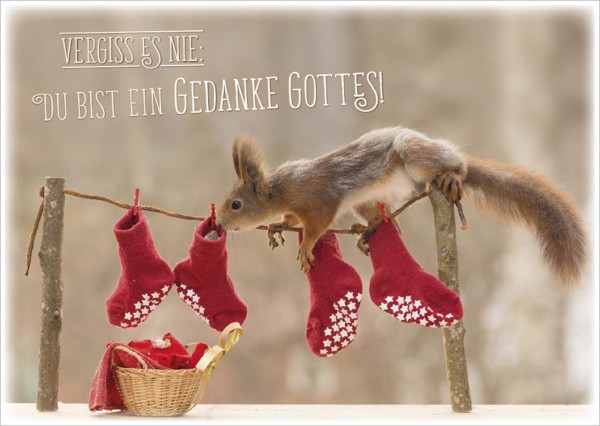 Postkarte Vergiss es nie - Eichhörnchen