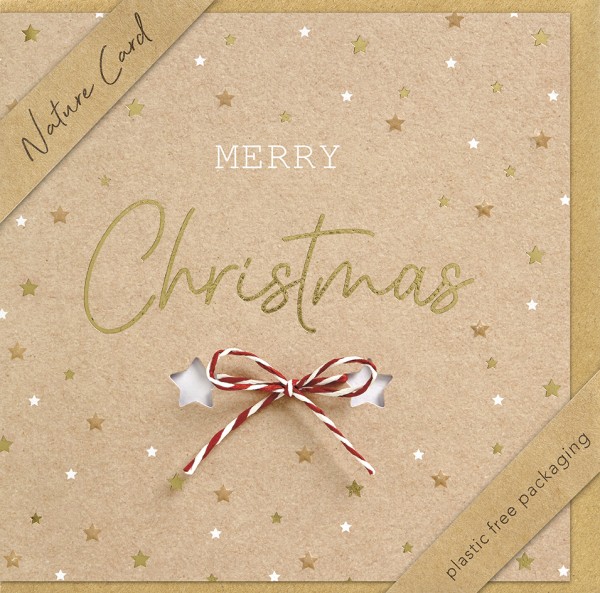 Faltkarte Merry Christmas Bastschleife NC